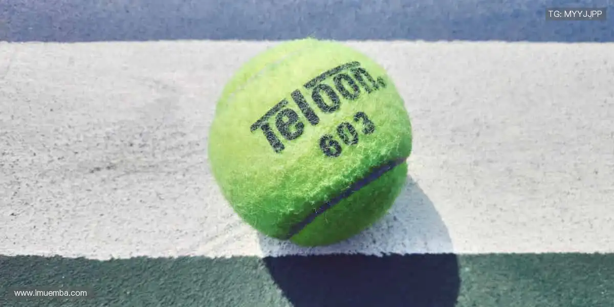 📺超清直播，同步赛场心跳！一键开启，精彩永不缺席🎯